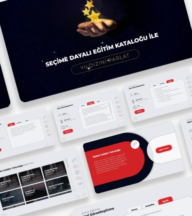 MONS_Portfolio_Yildizlar_Online_Learning_01